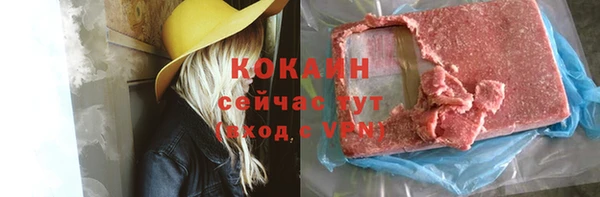 гашик Алексеевка