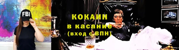 крисы Алексин