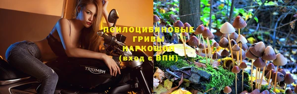 гашик Алексеевка