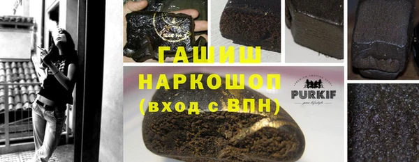 гашик Алексеевка