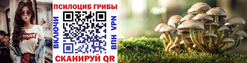 Псилоцибиновые грибы Psilocybe  Купить  Сорочинск 